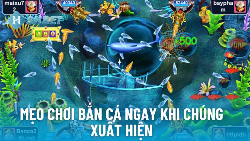 Mẹo chơi bắn cá ngay khi chúng xuất hiện