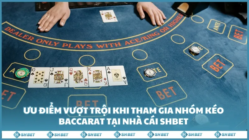 Ưu điểm vượt trội khi tham gia nhóm kéo Baccarat tại nhà cái SHBET